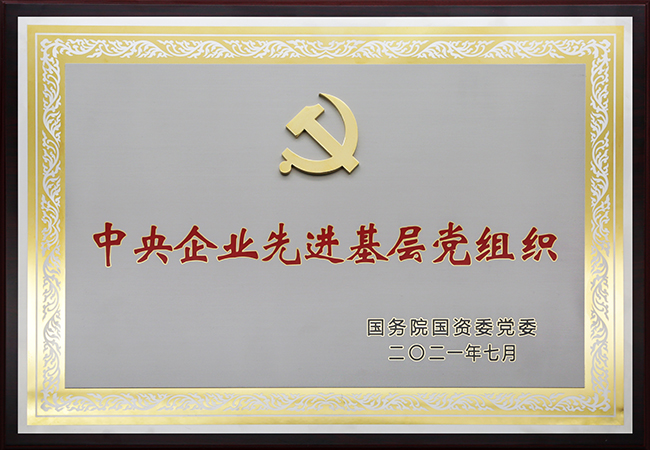 國珍松花粉-新時代健康產(chǎn)業(yè)（集團）有限公司成立于1995年3月，是中國新時代控股（集團）公司的控股子公司，總部設在北京，注冊資本1億元人民幣。公司是直銷行業(yè)內(nèi)首批獲得直銷牌照的內(nèi)資企業(yè)之一，也是行業(yè)內(nèi)唯一一家央屬企業(yè)。